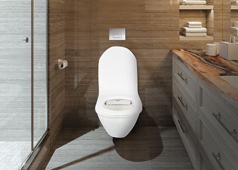 What Benefits Can a Toilet with Concealed Flush Tank Bring You?