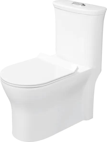 Denise One Piece Toilet BATHWARE — Somany French Collection collection
