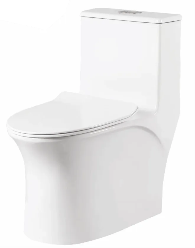 Arizona One Piece Toilet BATHWARE for Toilet Area — Somany French Collection collection