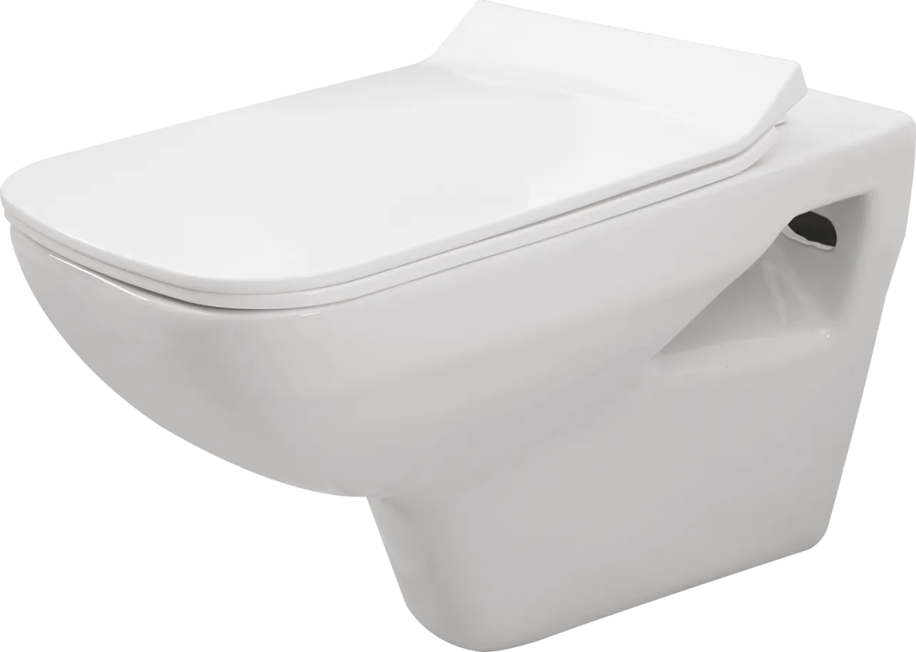 Primus Rimless Wall Hung BATHWARE — Somany Signature Collection collection