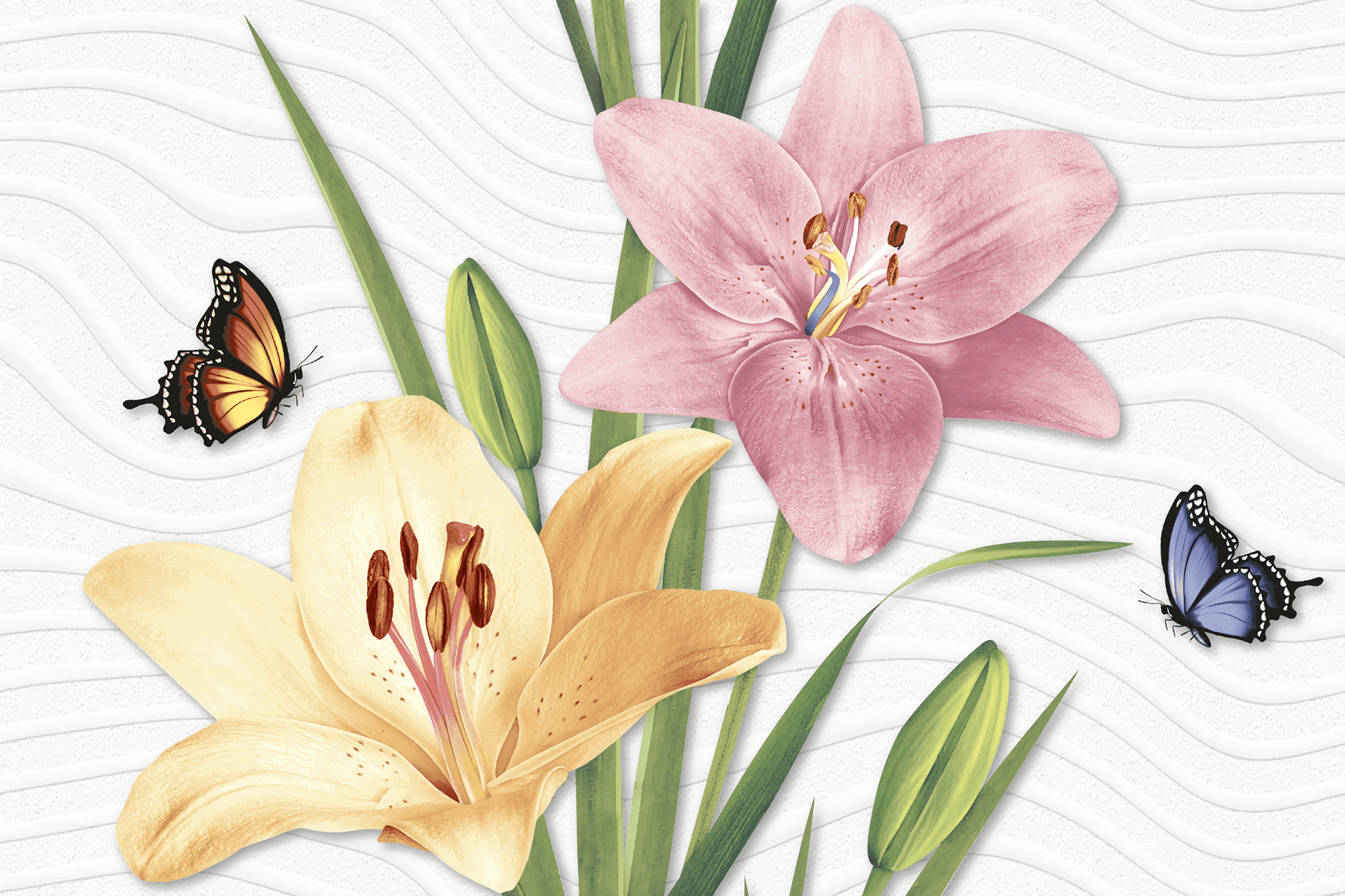 LILIY  WHITE HL01