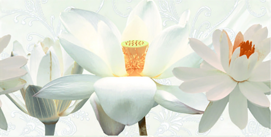 STATUARIO HL-01