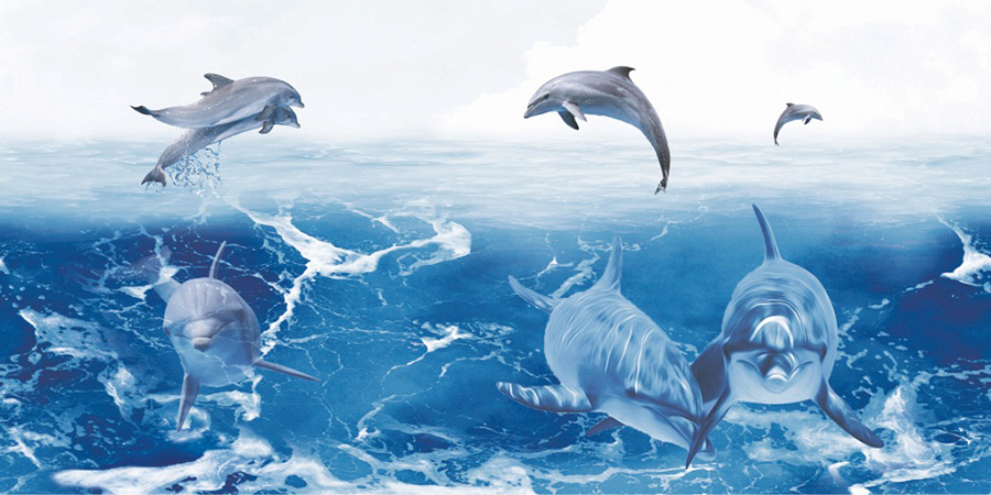 AGUA HL-01