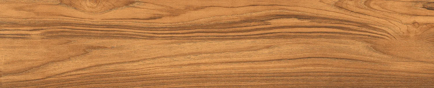 ESSENTIA TIMBER tiles for Wall — Somany Wood Essentia collection