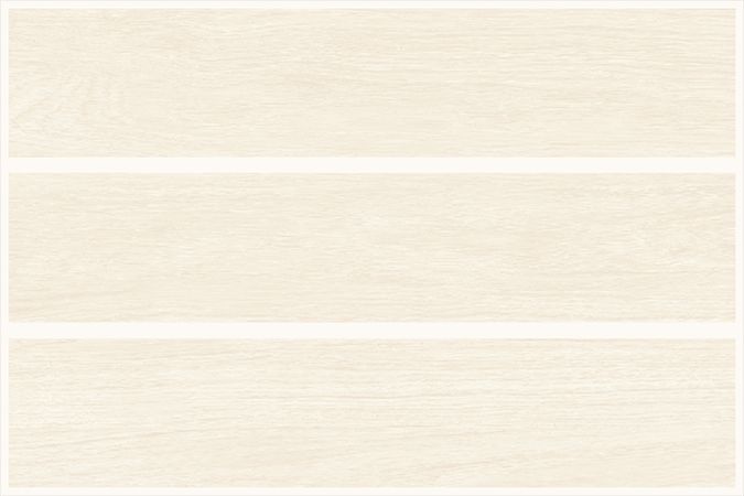 CANALI PINE