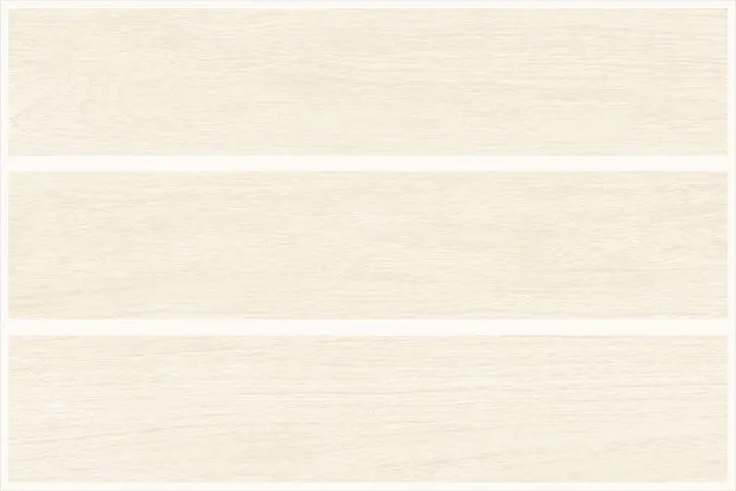 CANALI PINE