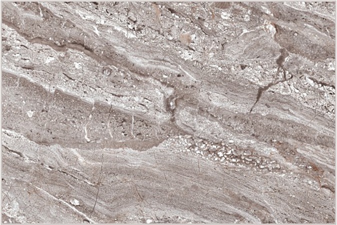 PIEMONTE DARK