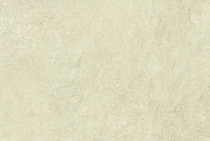DECOLY OLIVE