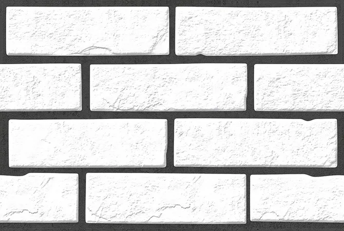 AVITUS WHITE tiles for Wall — Somany NOVACLAD collection
