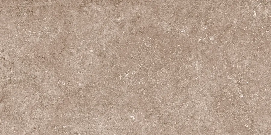WINTON DARK tiles for Wall — Somany VISTOSO collection