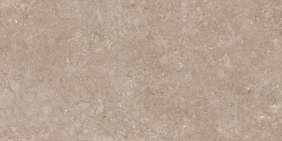 WINTON DARK tiles for Wall — Somany VISTOSO collection