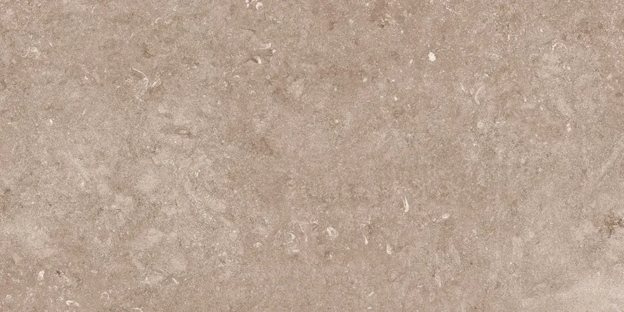 WINTON DARK tiles for Wall — Somany VISTOSO collection