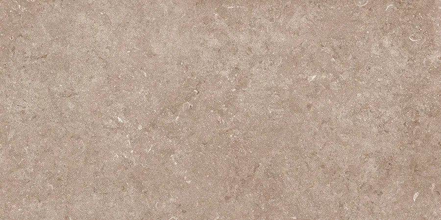 WINTON DARK tiles for Wall — Somany VISTOSO collection