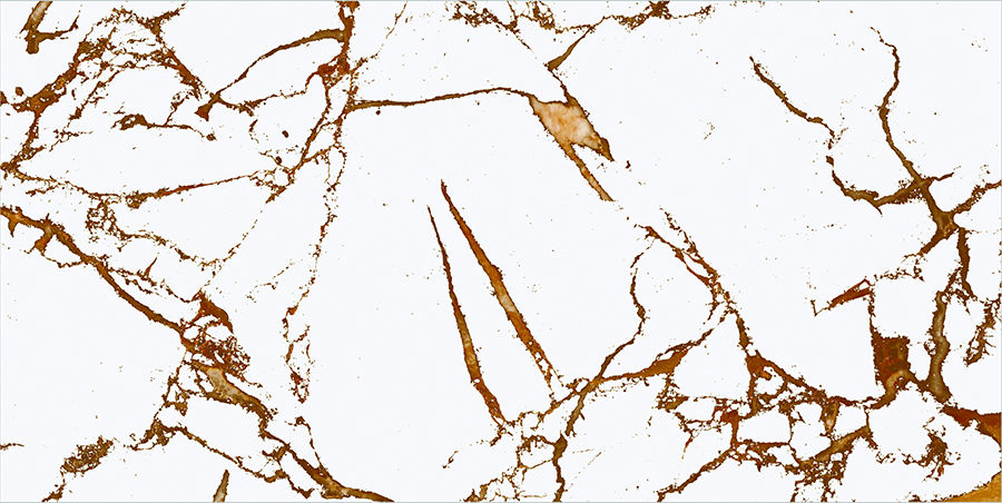 BIONDO WHITE