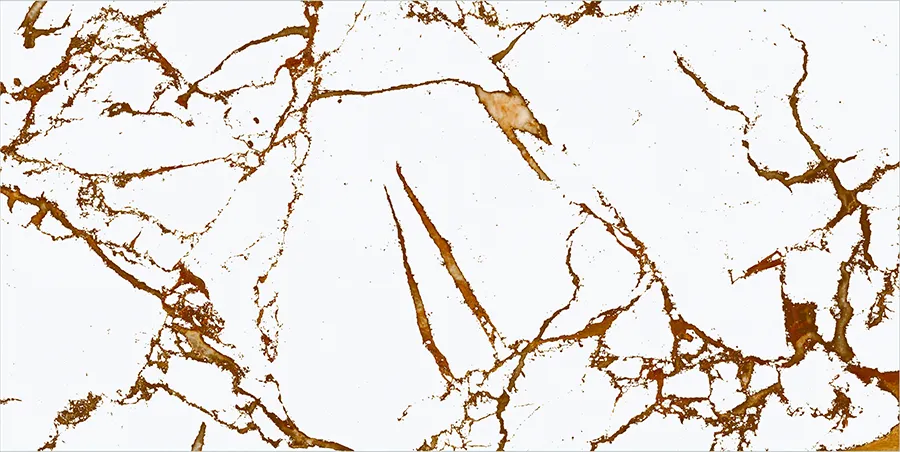 BIONDO WHITE CERAMIC for Wall — Somany VISTOSO collection