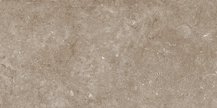 DICHA DARK CERAMIC for Wall — Somany VISTOSO collection