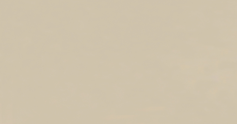 DENSO BEIGE