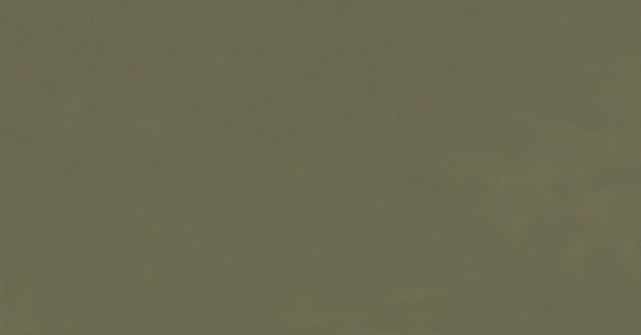 DENSO OLIVE