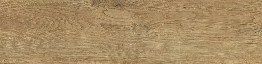 ERASME MAPLE CERAMIC for Wall — Somany NOVACLAD collection