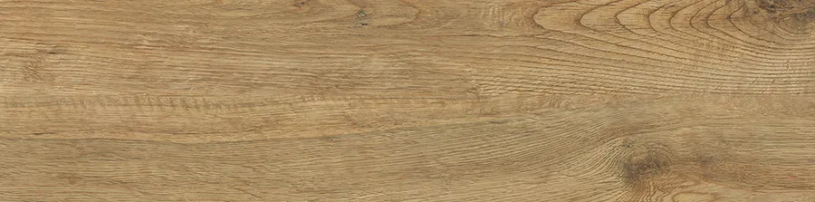 ERASME MAPLE tiles for Wall — Somany NOVACLAD collection