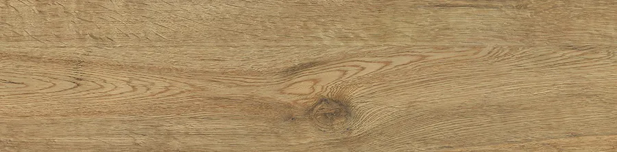 ERASME MAPLE tiles for Wall — Somany NOVACLAD collection