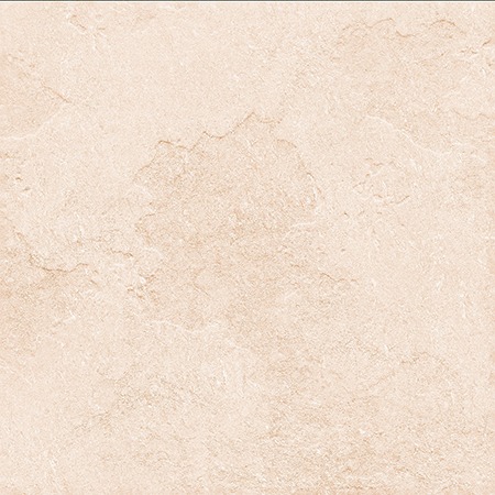 EC BELVIA BONE