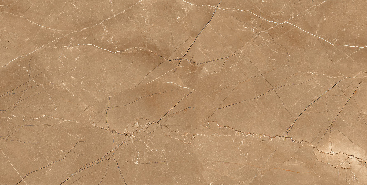 BON PULPIS COPPER FP