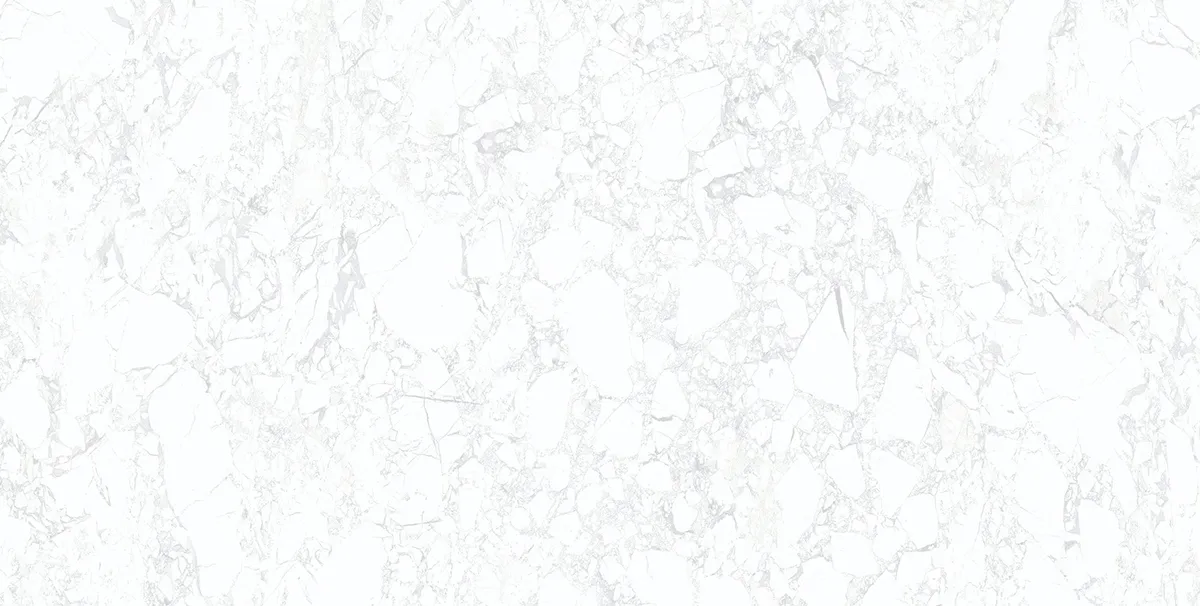 BON PORTORO SNOW FP tiles for Floor — Somany BON SERIES collection