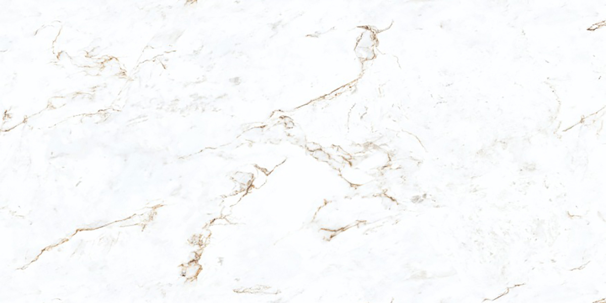 BON ADEOLA WHITE FP