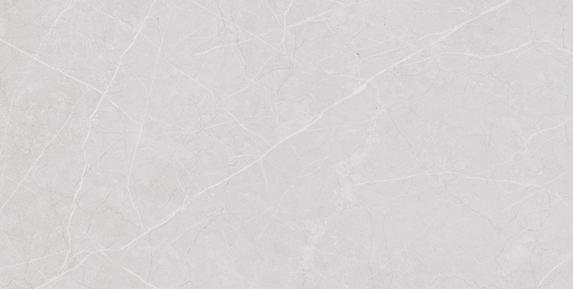 VIBON SAVOIA GREY LIGHT FP V4