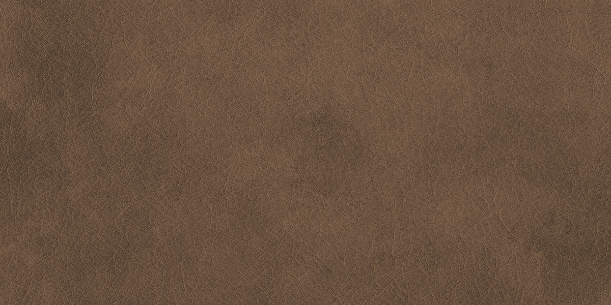 EON LUMIERE BROWN MATT V4