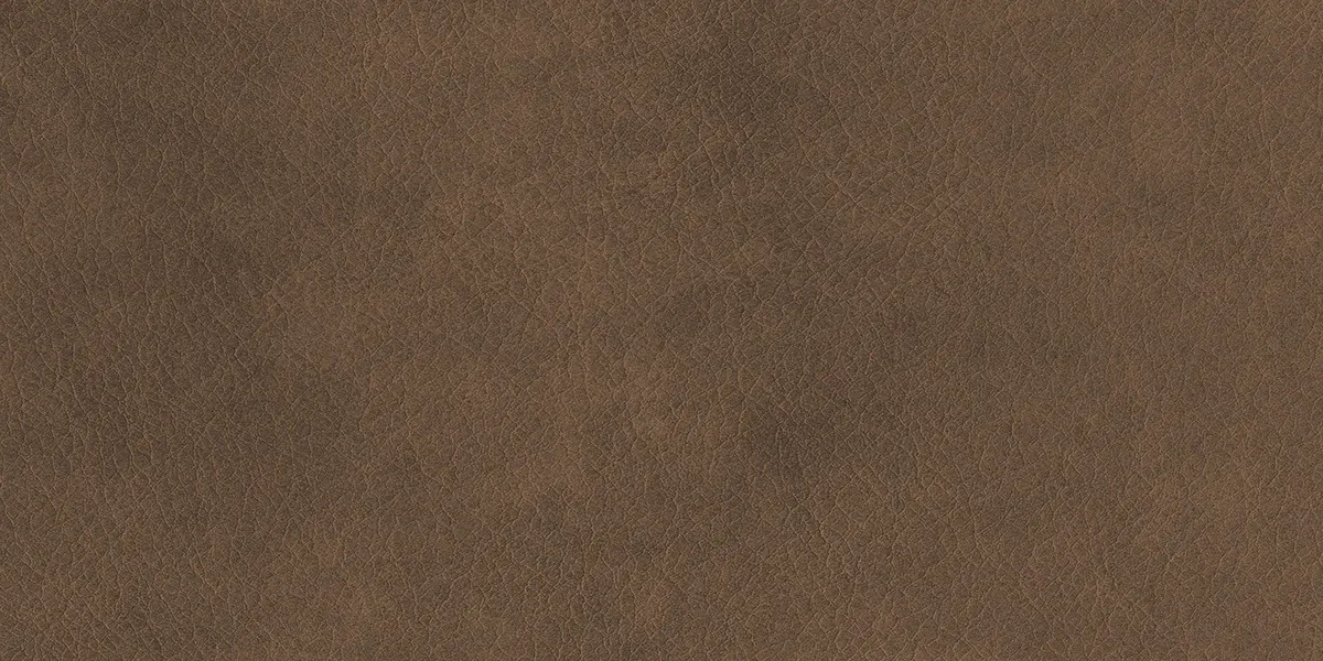 EON LUMIERE BROWN MATT V4