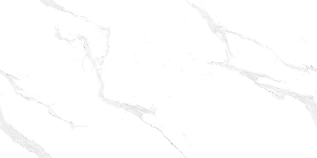 MUSE SATUARIO GREY FP V4