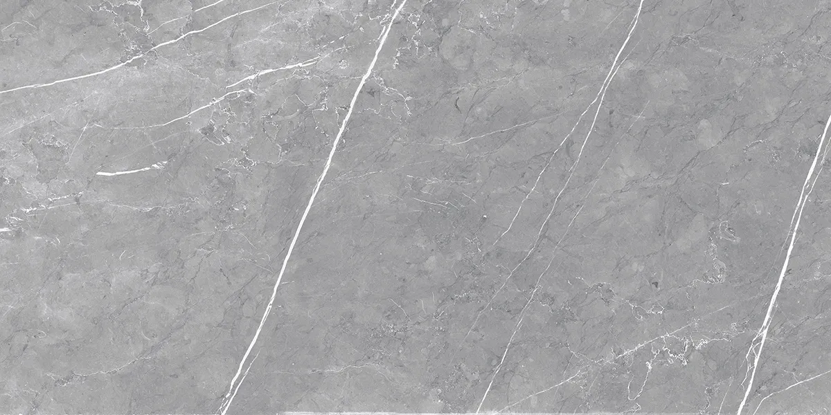 MUSE DALLAS SLATE FP V4 tiles for Floor, Wall — Somany MUSE SERIES collection