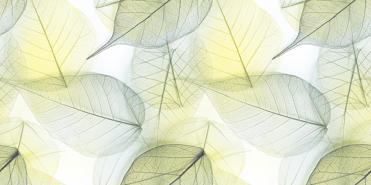 EON ELEGANZA OLIVE DECOR 02 FP V1