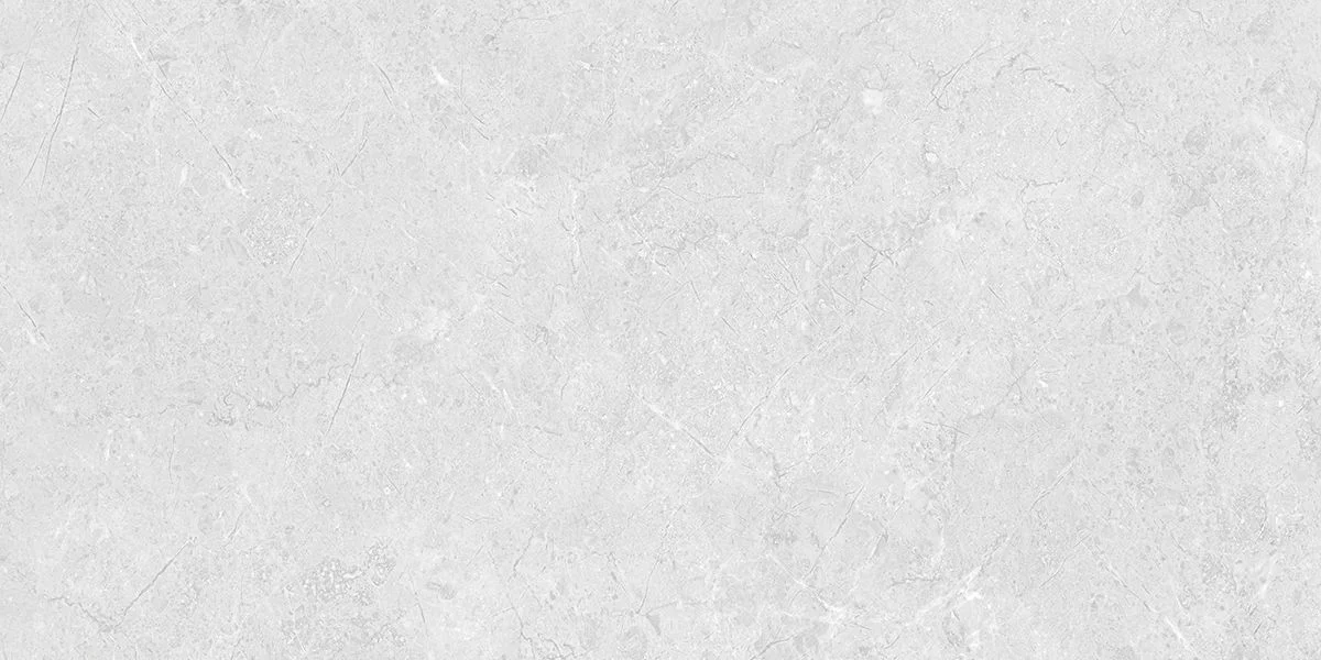 VIBON CANUTUS SILVER FP