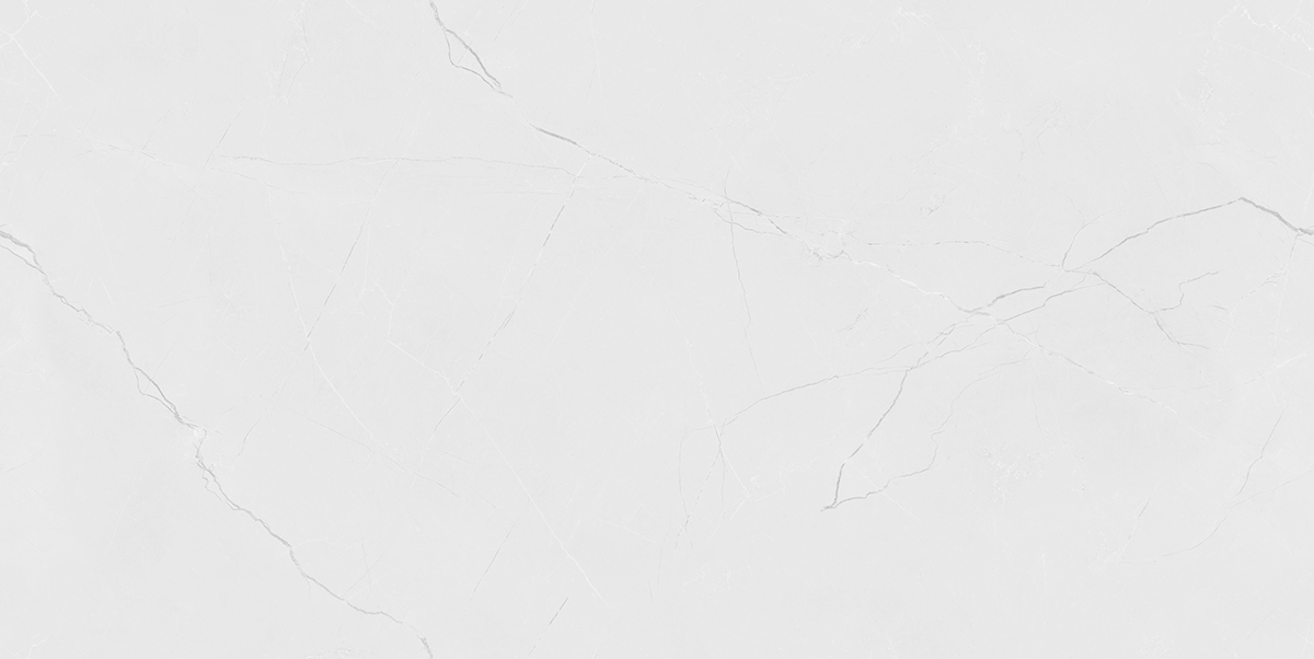 BON CASTOR SILVER CR