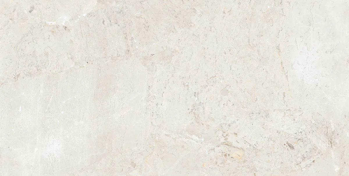 BON GRANITICA GREY FP tiles for Floor — Somany BON SERIES collection