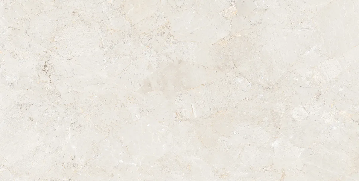 BON GRANITICA GREY FP tiles for Floor — Somany BON SERIES collection