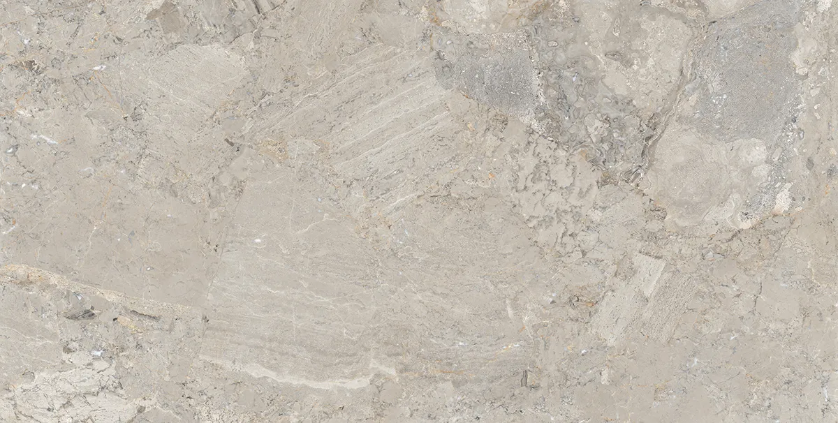 BON GRANITICA SLATE FP tiles for Floor — Somany BON SERIES collection
