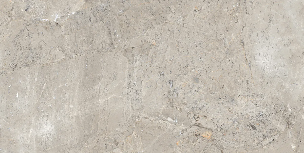 BON GRANITICA SLATE FP tiles for Floor — Somany BON SERIES collection