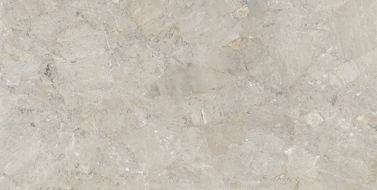 BON GRANITICA SLATE FP tiles for Floor — Somany BON SERIES collection
