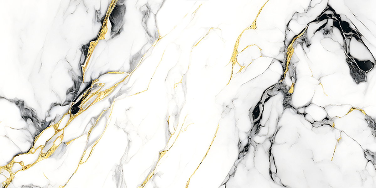 VIBON AMIENS GOLD BLACK FP