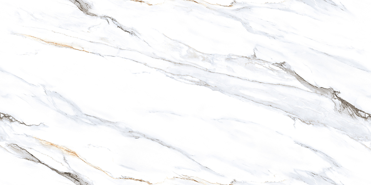 VIBON EUROPA WHITE FP