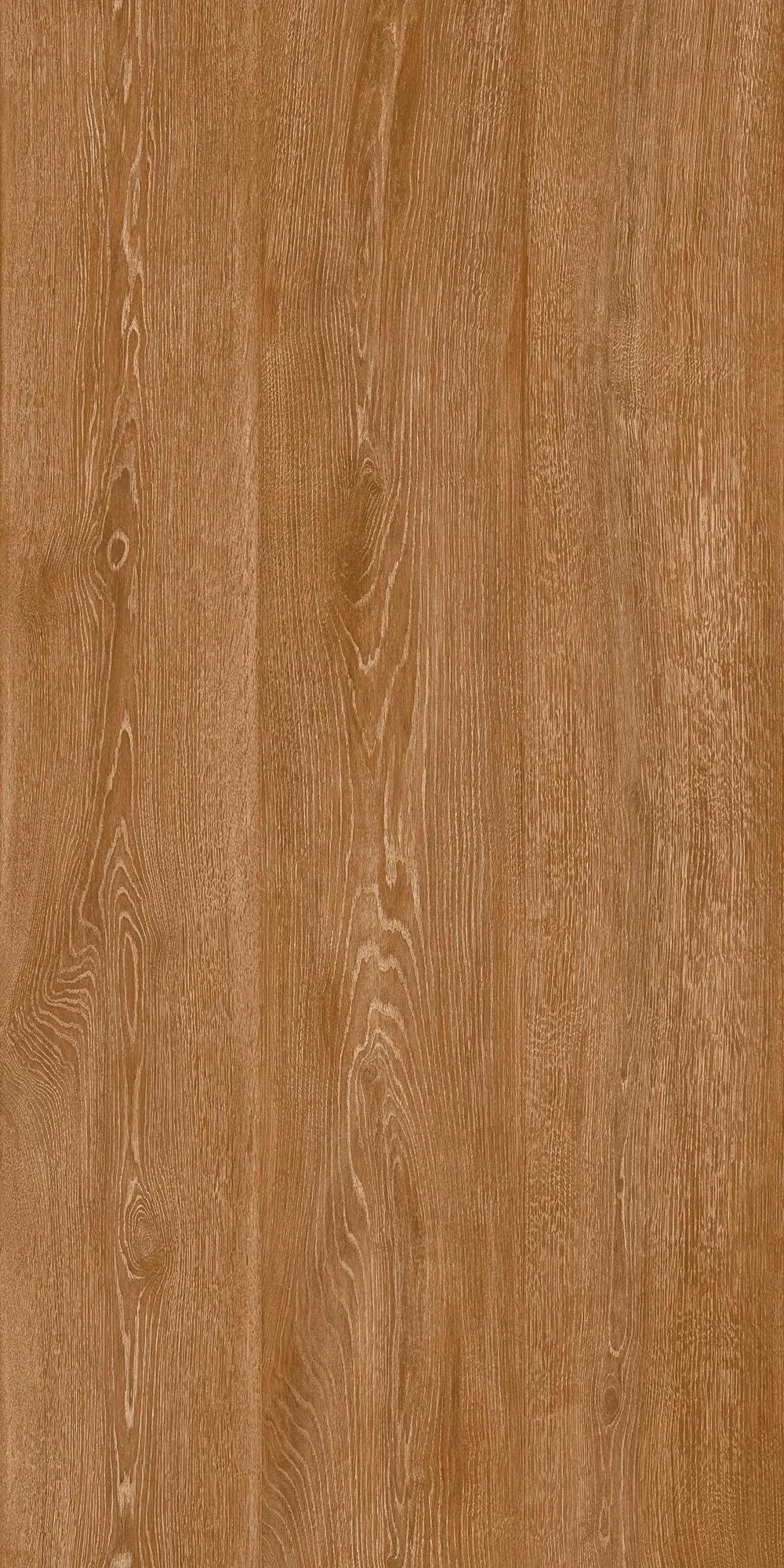 KBON BOSKO ROBLE tiles for Wall, Floor — Somany BON SERIES collection
