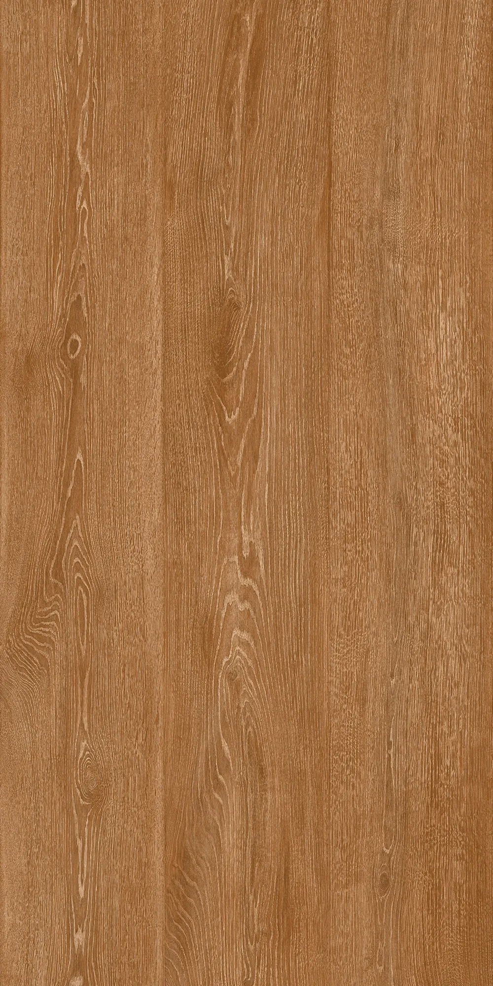 KBON BOSKO ROBLE tiles for Wall, Floor — Somany BON SERIES collection