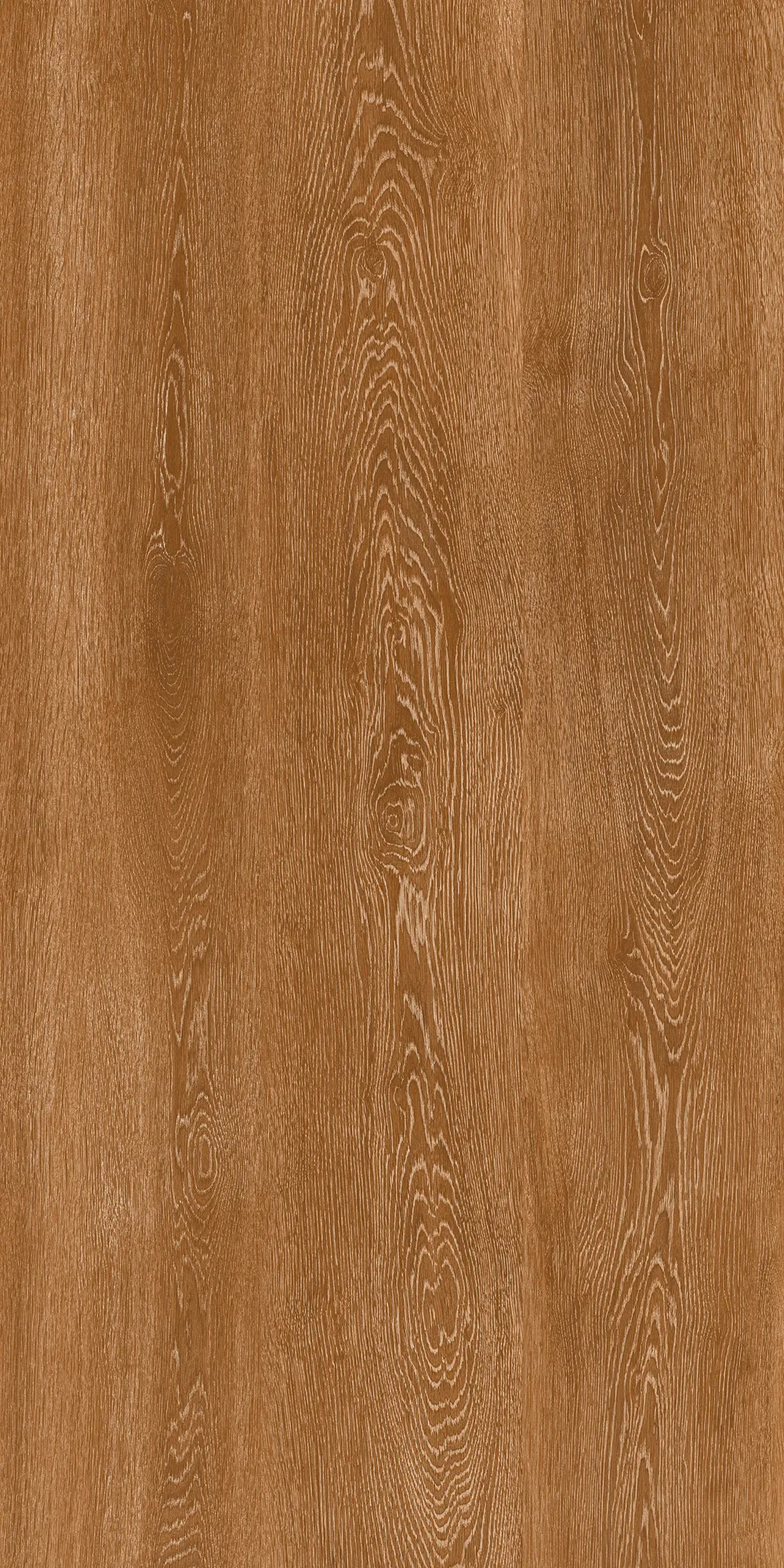 KBON BOSKO ROBLE tiles for Wall, Floor — Somany BON SERIES collection