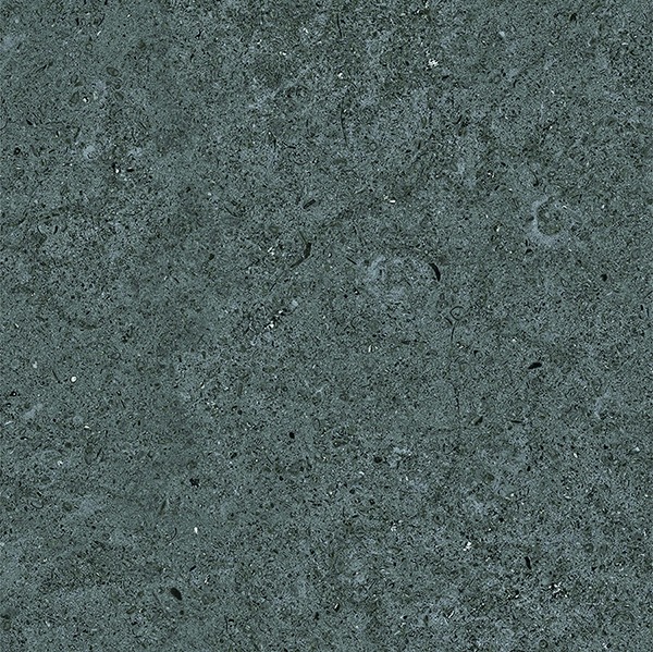 PONTIUS GREY