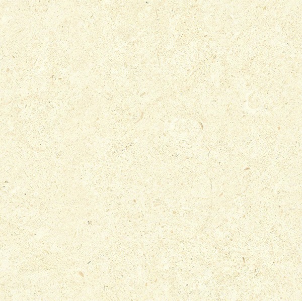 PONTIUS BEIGE