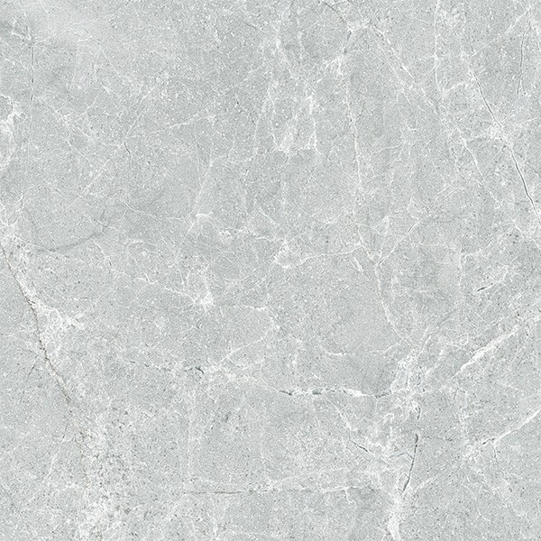 BLASON ASH